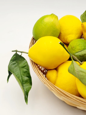 Entremets Citron en trompe l'œil 