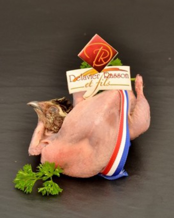 Caille farcie entière