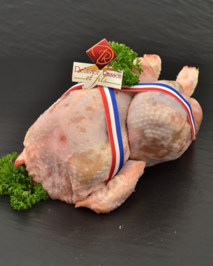 Poule