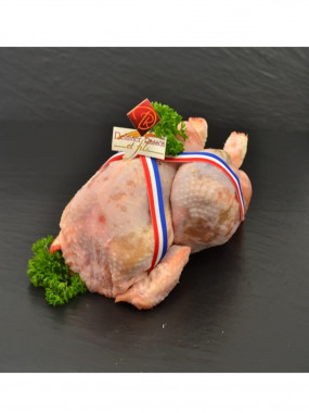Poularde 