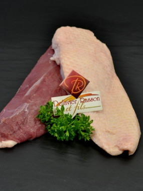 Magret de canard